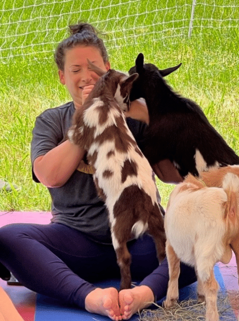 The baby goats are full of endless love and playfulness!
