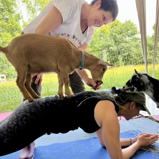 FullSizeRender FullSizeRender